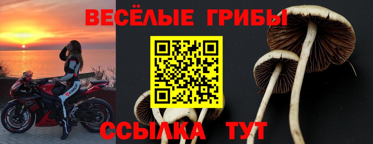 Ногинск  Псилоцибиновые грибы мицелий  дарнет шоп  Галлюциногенные грибы мухоморы  Вход с VPN 